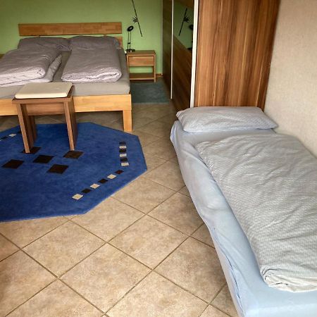 Urlaub Mit Blick Auf Schiltachs Fachwerkhaeuser Екстериор снимка