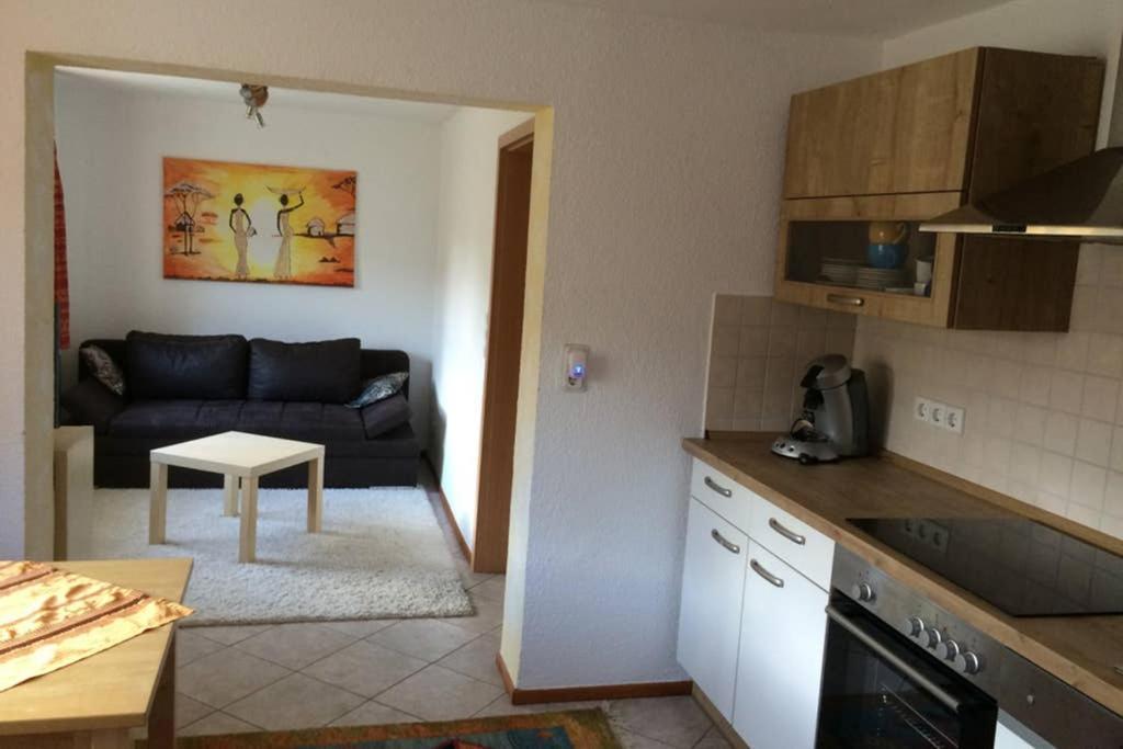 Urlaub Mit Blick Auf Schiltachs Fachwerkhaeuser Екстериор снимка