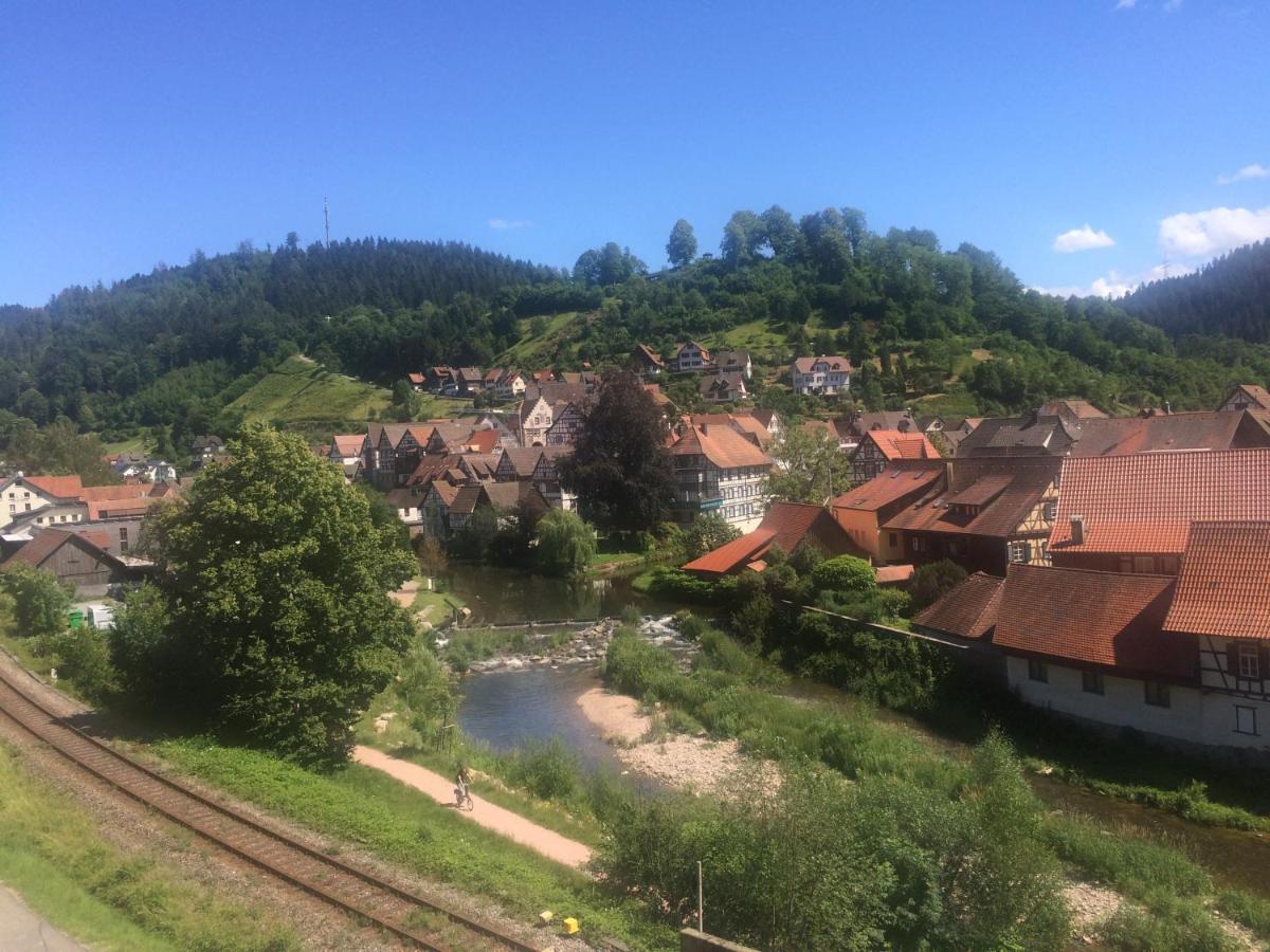 Urlaub Mit Blick Auf Schiltachs Fachwerkhaeuser Екстериор снимка