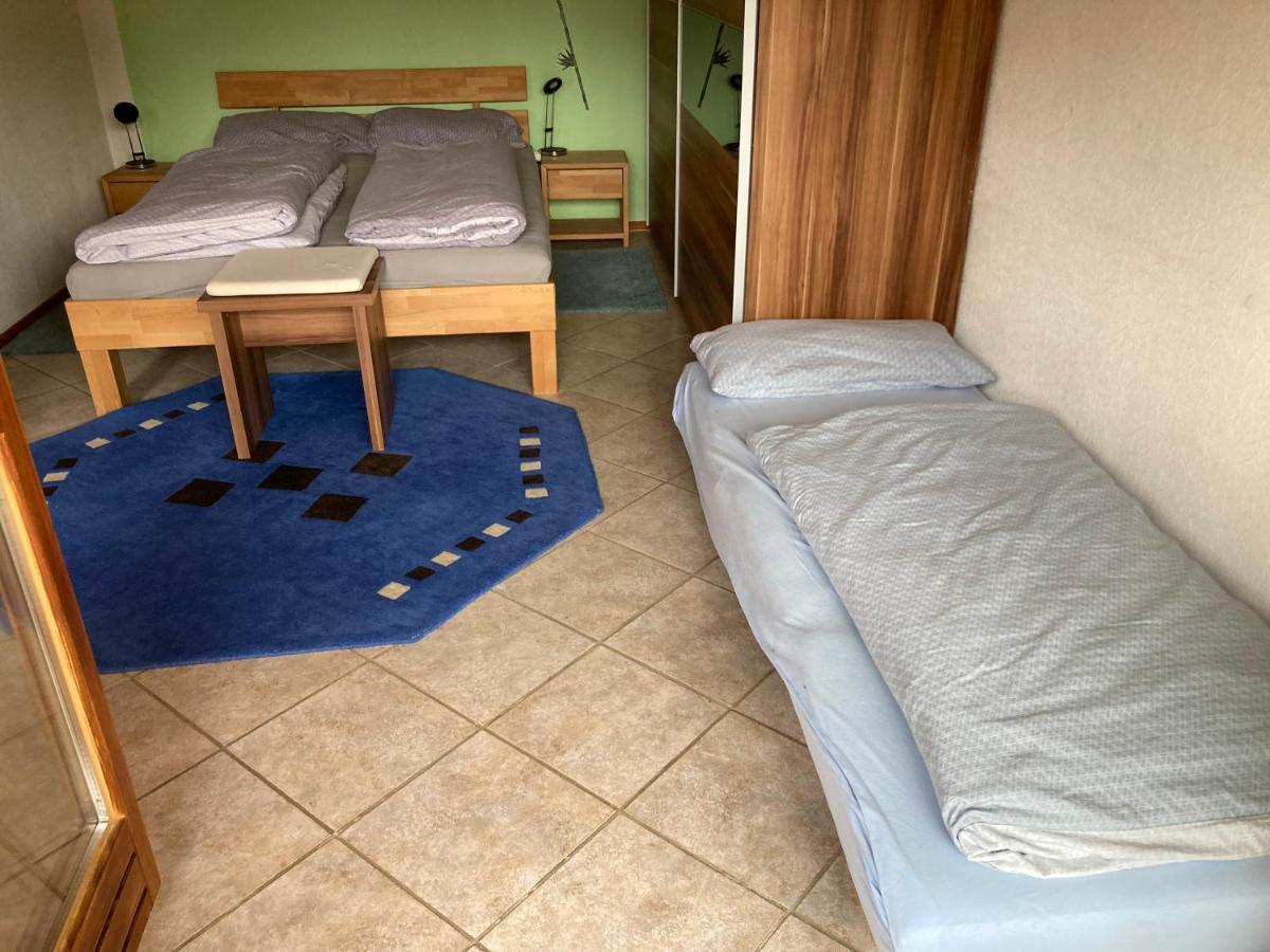 Urlaub Mit Blick Auf Schiltachs Fachwerkhaeuser Екстериор снимка